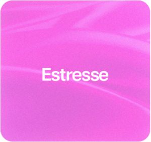 Estresse Novo